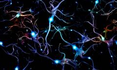 canstockphoto19574139-1-2000x1200