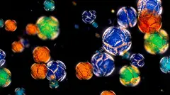 Photo and thermochromic lab